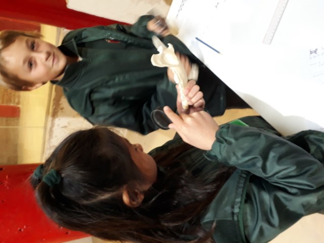 20220531_111124 (Small)
